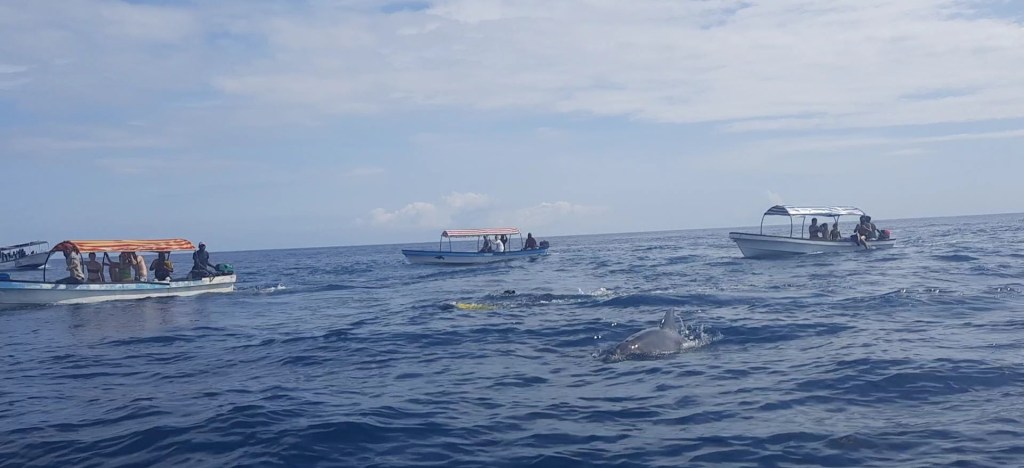 Unguja, arhipelag Zanzibar – Unguja, Zanzibar&nbsp;Archipelago