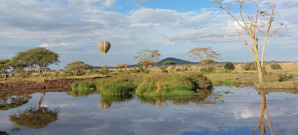 Serengeti – Serengeti – prvi&nbsp;deo