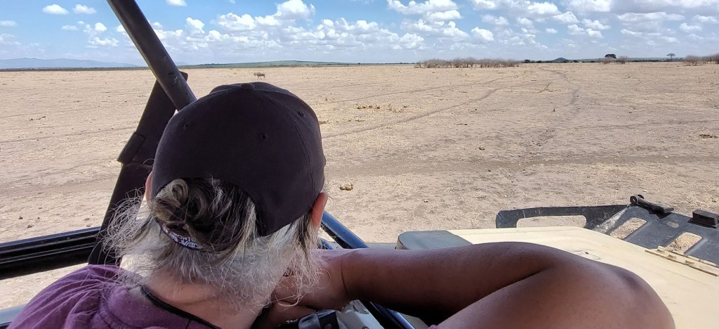 Tarangire – Tarangire