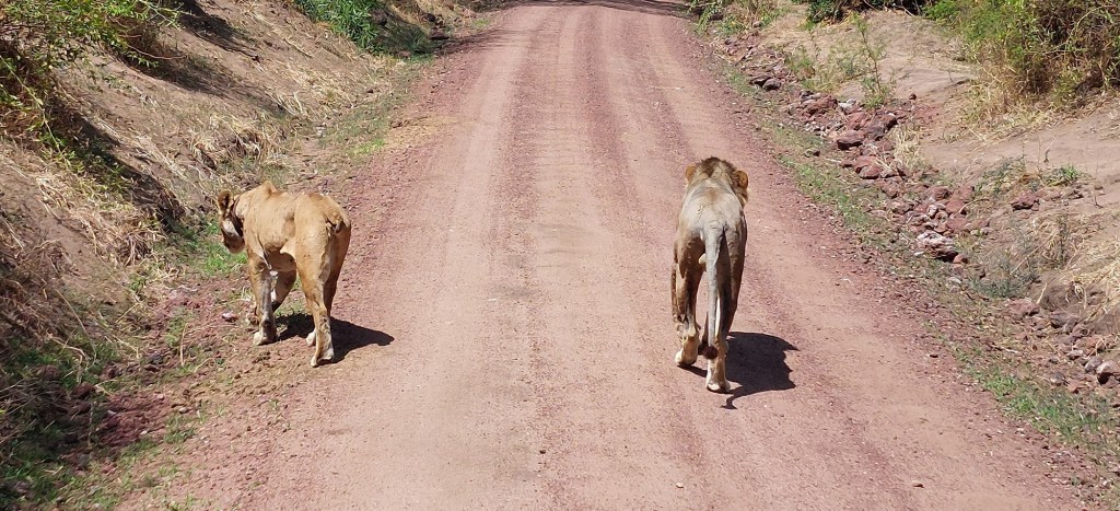 Jazero Manjara – Lake&nbsp;Manyara