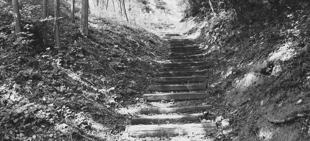 Rusaljke Zvižda: Folklor i predanja o ženama&nbsp;padalicama