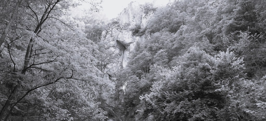 Zmajevi Homolja i Miroča: Vatrene zveri u ulozi&nbsp;zavodnika