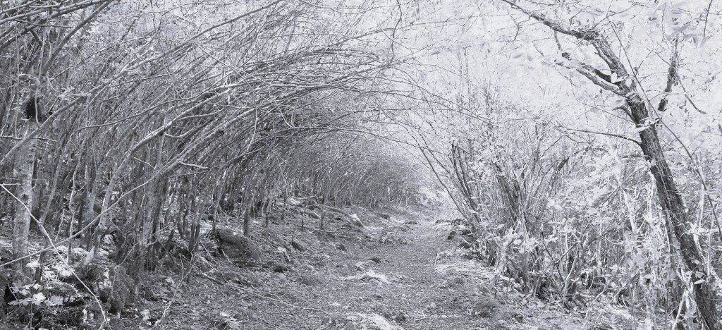 I boginja i demonica! Vlahinje je vole, dok se Vlasi boje Muma&nbsp;Paduri