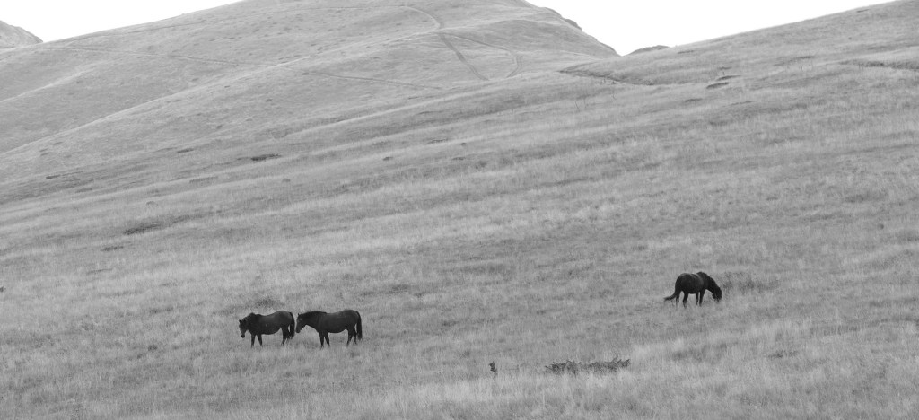 Hronika noćnih konjanika: Narodna verovanja u Debelom&nbsp;Lugu