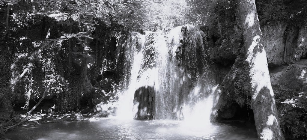 Volšebnost vila: Uloga šumskih demona u životima južnih Slovena i&nbsp;Vlaha