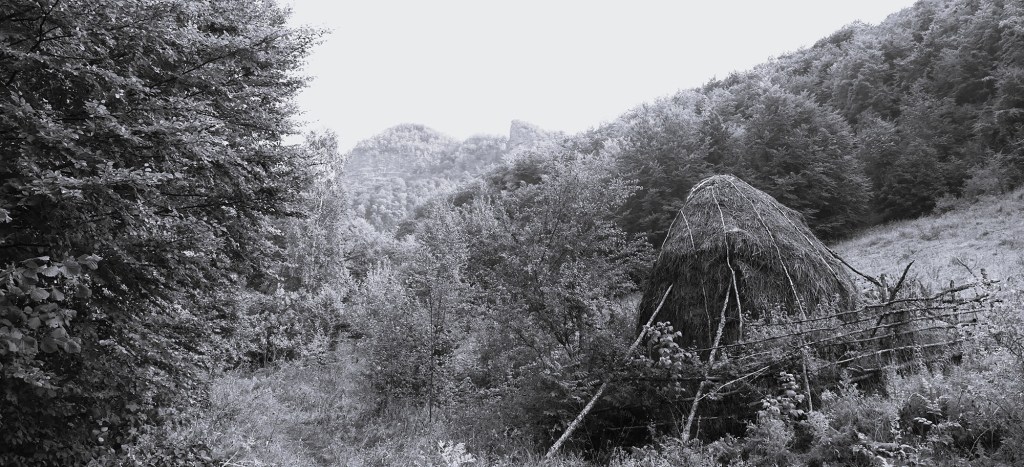Demoni noći i božanska bića: Misterije Braničeva, Bora i&nbsp;Zaječara