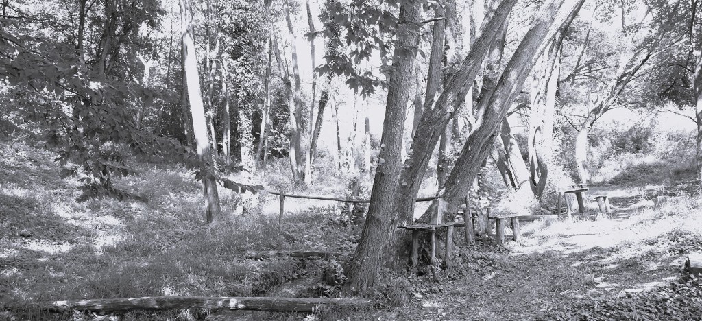 Rituali protiv zla i zarad dobra nizvodnog&nbsp;Dunava