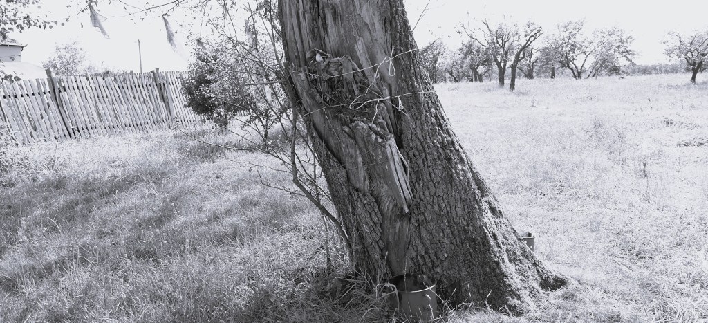 Prastari običaji između Đerdapa i Stare&nbsp;planine