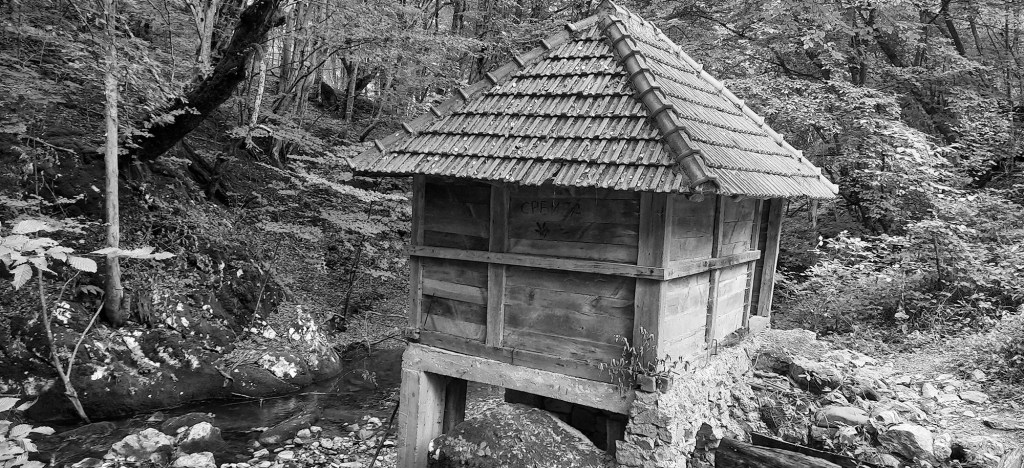 „Vikač“ – zaboravljena reč planinskih&nbsp;zaseoka